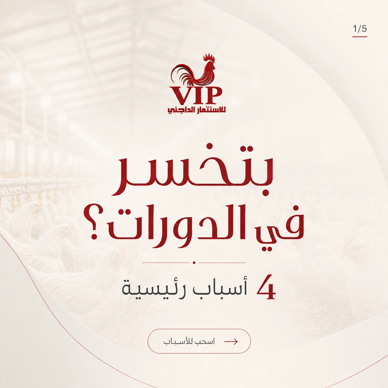 VIP — carousel introduction