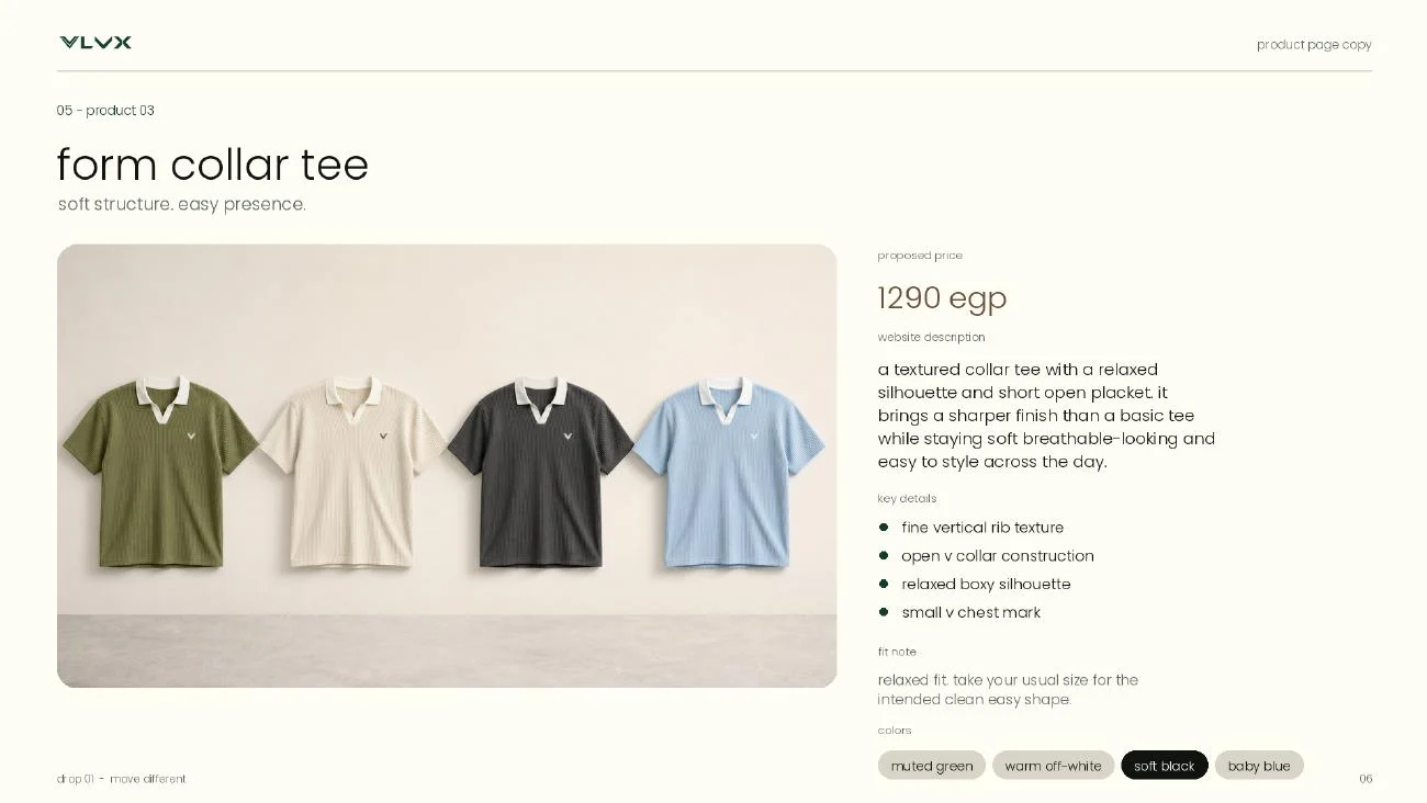 Website direction — page 06